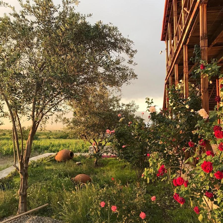 فيلا Elizbar Talakvadze Winery Kardanakhi المظهر الخارجي الصورة