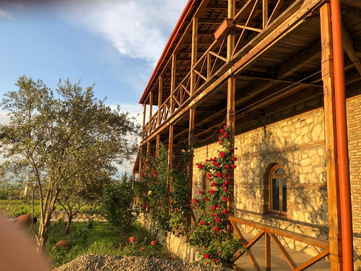 فيلا Elizbar Talakvadze Winery Kardanakhi المظهر الخارجي الصورة