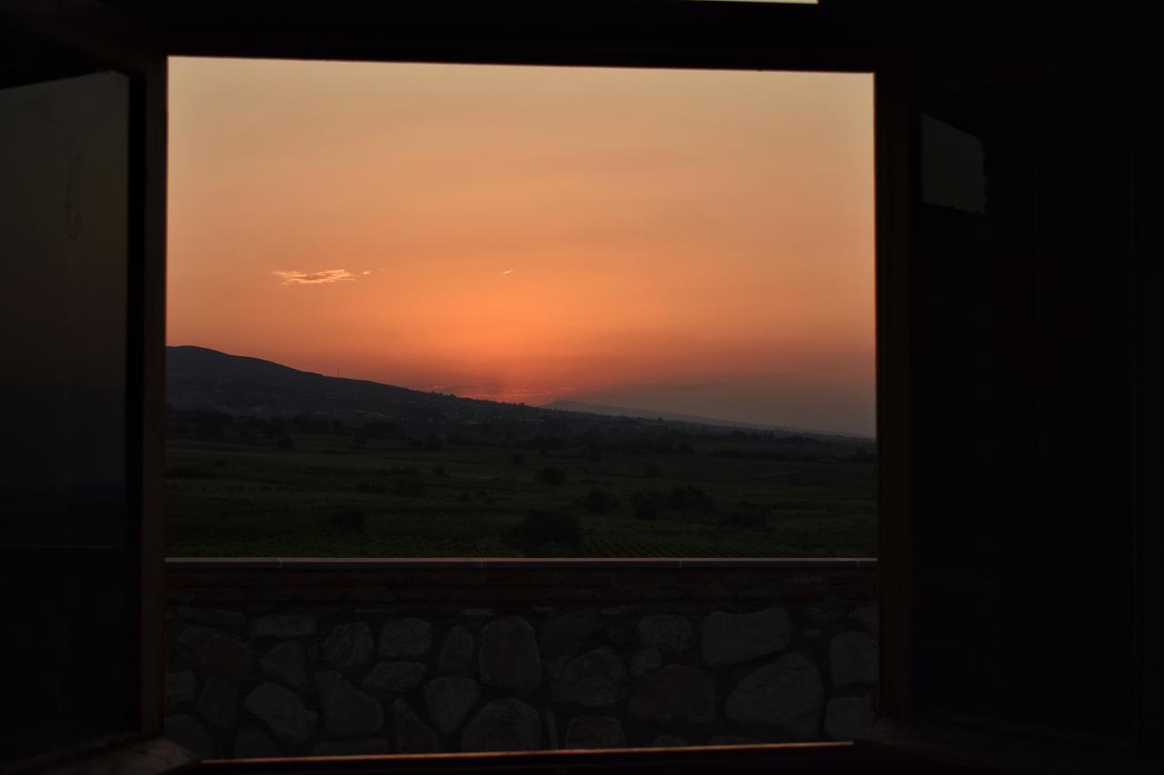 فيلا Elizbar Talakvadze Winery Kardanakhi المظهر الخارجي الصورة
