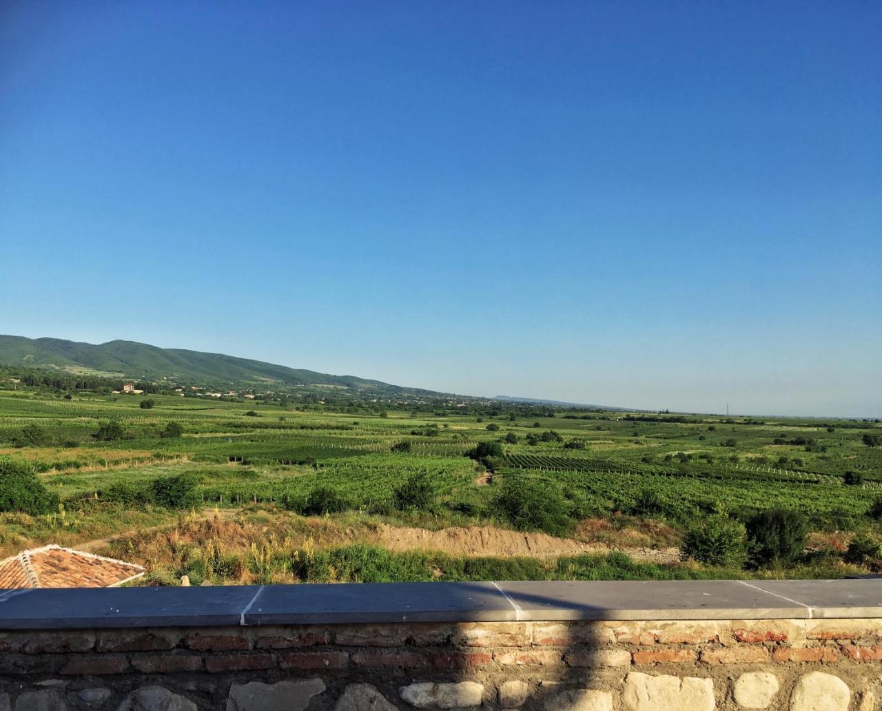 فيلا Elizbar Talakvadze Winery Kardanakhi المظهر الخارجي الصورة